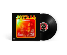 LP / Lewis Jenny / Joy'all / Vinyl