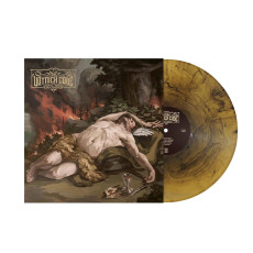 LP / Voynich Code / Insomnia / Gold / Vinyl