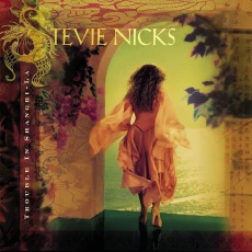 LP / Nicks Stevie / Trouble In Shangri-la / Blue / Vinyl / 2LP