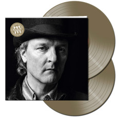2LP / D-A-D / Greatest Hits 84-2024 / Gold / Vinyl / 2LP
