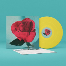 LP / Metz / Up On Gravity Hill / Yellow / Vinyl