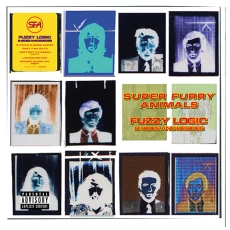 LP / Super Furry Animals / Fuzzy Logic / RSD 2024 / B-sides / Green / Vinyl