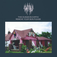 LP / Chat Pile / This Dungeon Earth / Remove Your Skin Please / Vinyl