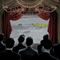 LP / Fall Out Boy / From Under The Cork Tree / Reissue / Vinyl