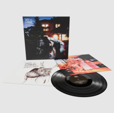 LP / Bat For Lashes / Fur And Gold / Remaster / Vinyl