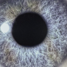 LP / Swan� Dan / Moontower / Light Blue / Vinyl