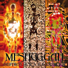 2LP / Meshuggah / Destroy Erase Improve / 30th Anniversary / Vinyl / 2LP