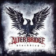CD / Alter Bridge / Blackbird