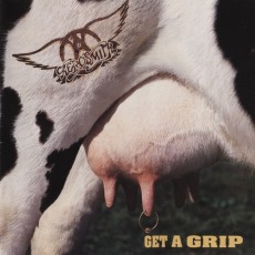 2LP / Aerosmith / Get A Grip / Vinyl / 2LP