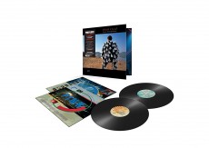 2LP / Pink Floyd / Delicate Sound of Thunder / Vinyl / 2LP