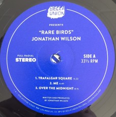 2LP / Wilson Jonathan / Rare Birds / Vinyl / 2LP