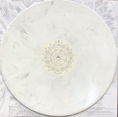LP / Architects / Lost Forever / Lost Together / Vinyl / Colored