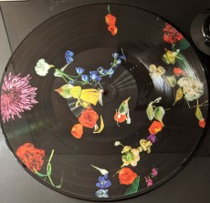 LP / Blaqk Audio / Only Things We Love / Picture / Flower / Vinyl