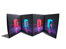 4LP / Indochine / Central Tour / Vinyl / 4LP