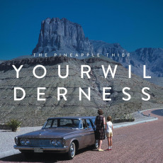 LP / Pineapple Thief / Your Wilderness / Clear / Vinyl