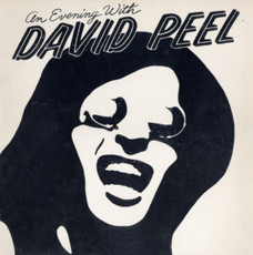 LP / Peel David / An Evening With David Peel / Vinyl