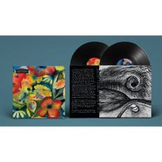 2LP / Lenker Adrianne / Songs And Instrumentals / Vinyl / 2LP