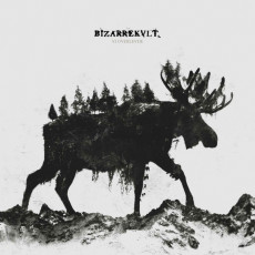 LP / Bizarrekult / Vi Overlevde / Vinyl