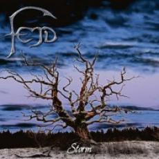 CD / Fejd / Storm