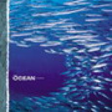 CD / Ocean / Fluxion