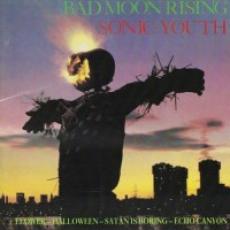 CD / Sonic Youth / Bad Moon Rising
