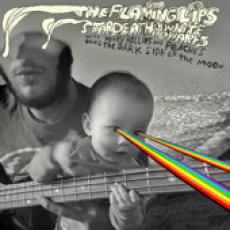 CD / Flaming Lips / Dark Side Of The Moon