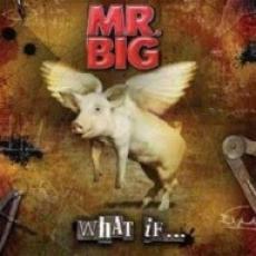 CD/DVD / Mr.Big / What If... / CD+DVD