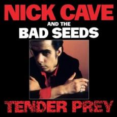 CD/DVD / Cave Nick / Tender Prey / Remastered / Collectors Edition / Cd+DVD