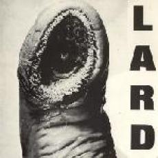 LP / Lard / Power Of Lard / Vinyl / EP