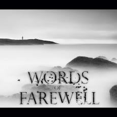 CD / Words Of Farewell / Immersion