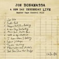 2LP / Bonamassa Joe / New Day Yesterday Live / Vinyl / 2LP