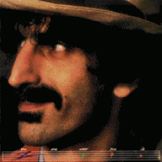 CD / Zappa Frank / You Are What You Is