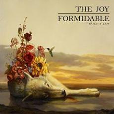 CD / Joy Formidable / Wolf's Law