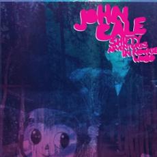 LP / Cale John / Shifty Adventures In Nookie Wood / Vinyl