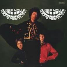 LP / Hendrix Jimi / Are You Experienced / Vinyl / 180gr / Mono / UK