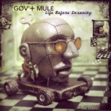 2LP / Gov't Mule / Life Before Insanity / Vinyl / 2LP