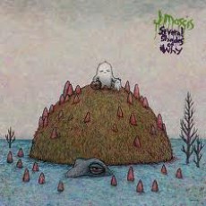 CD / Mascis J / Several Shades Of Why