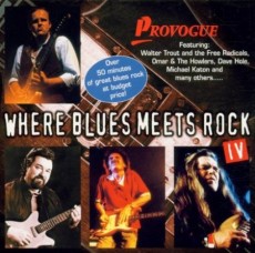 CD / Various / Where Blues Meets Rock IV