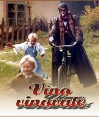 DVD / FILM / Radonsk naivn divadlo:Vno vinovat