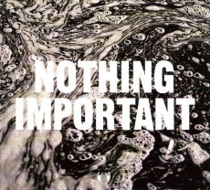 CD / Dawson Richard / Nothing Important