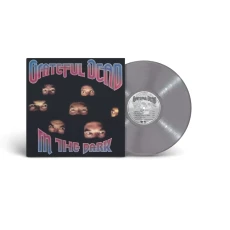 LP / Grateful Dead / In The Dark / Silver / Vinyl