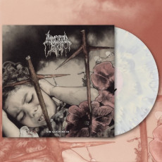 LP / Immortal Bird / Sin Querencia / Bone Cloudy / Vinyl