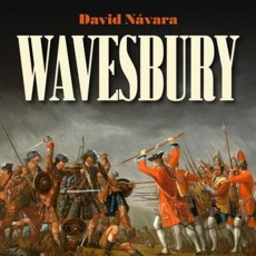 CD / Nvara David / Wavesbury / Mp3