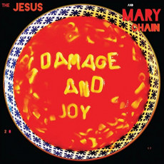 2LP / Jesus & Mary Chain / Damage And Joy / Vinyl / 2LP