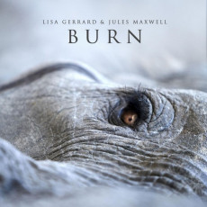 LP / Gerrard Lisa/Jules Maxwell / Burn / Vinyl / Coloured