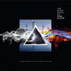 2LP / Pink Floyd / Many Faces Of Pink Floyd / Tribute / Vinyl / 2LP