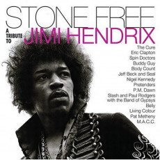 CD / Various / Tribute To Jimi Hendrix