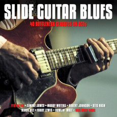 2CD / Various / Slide Guitar Blues / 2CD