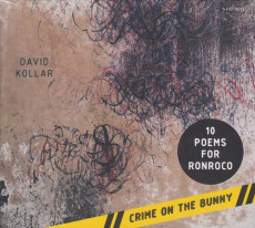 2CD / Kollar David / 10 Poems For Ronroco / 2CD / Digipack