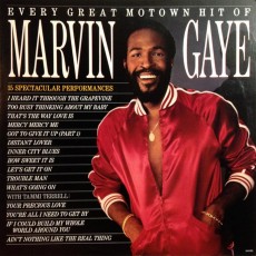 LP / Gaye Marvin / Every Great Motown Hit Of Marvin Gaye:... / Vinyl